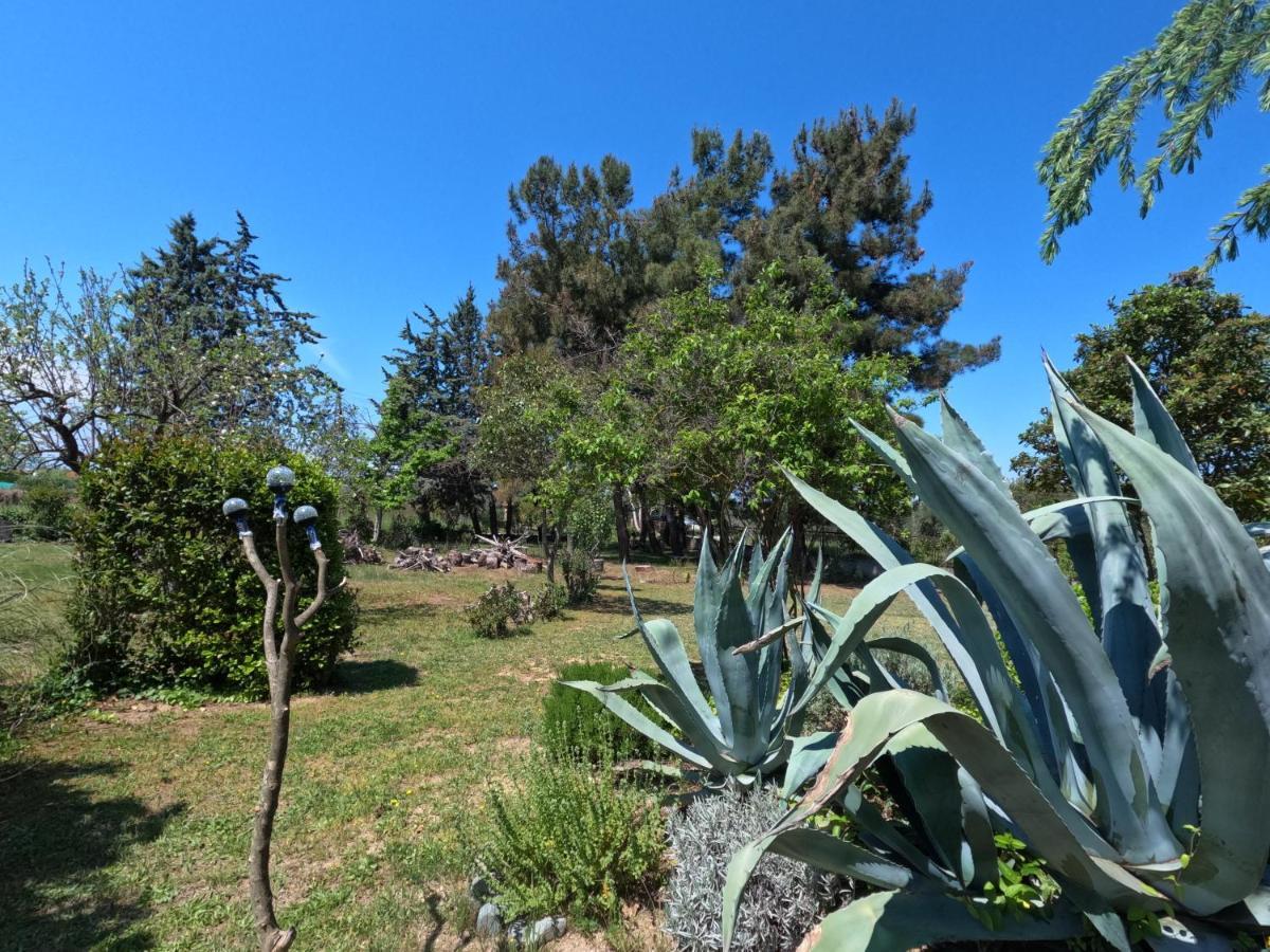 Pond And Pines, By Nice House By The Sea! Apartment Epanomi Exterior photo